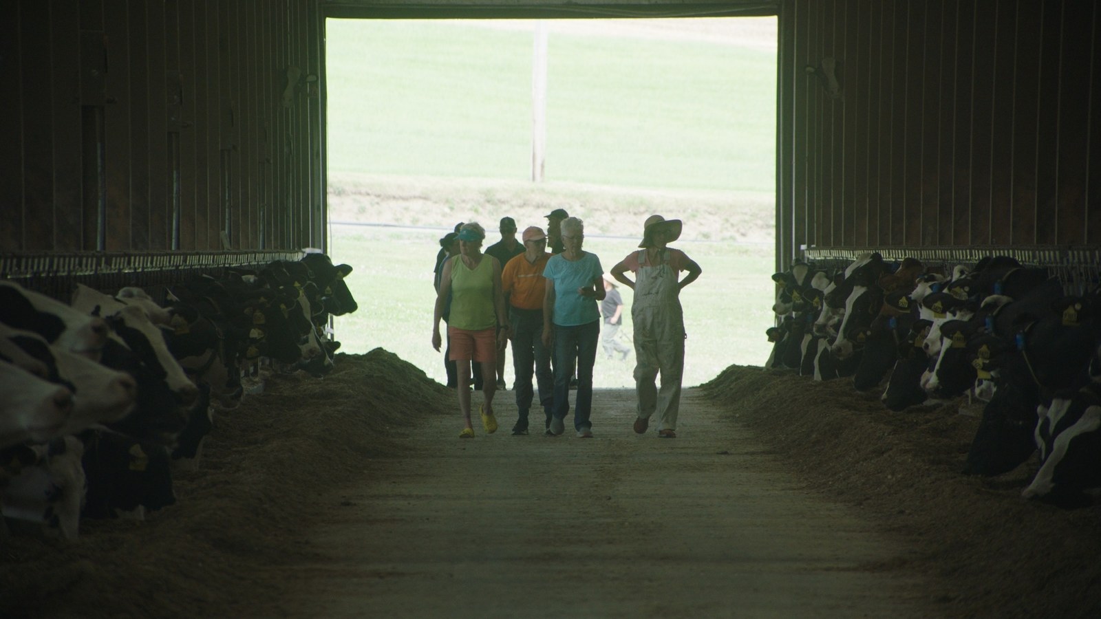 Family members walking through a dairy farm